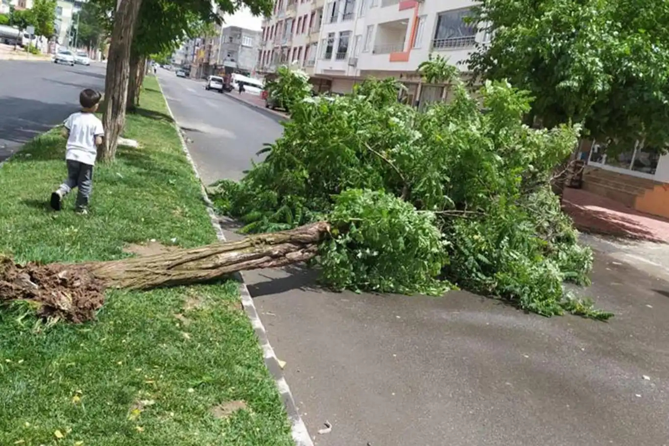 Meteorolojiden kuvvetli rüzgâr uyarısı