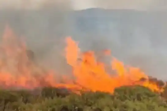 Diyarbakır'da arazi yangını