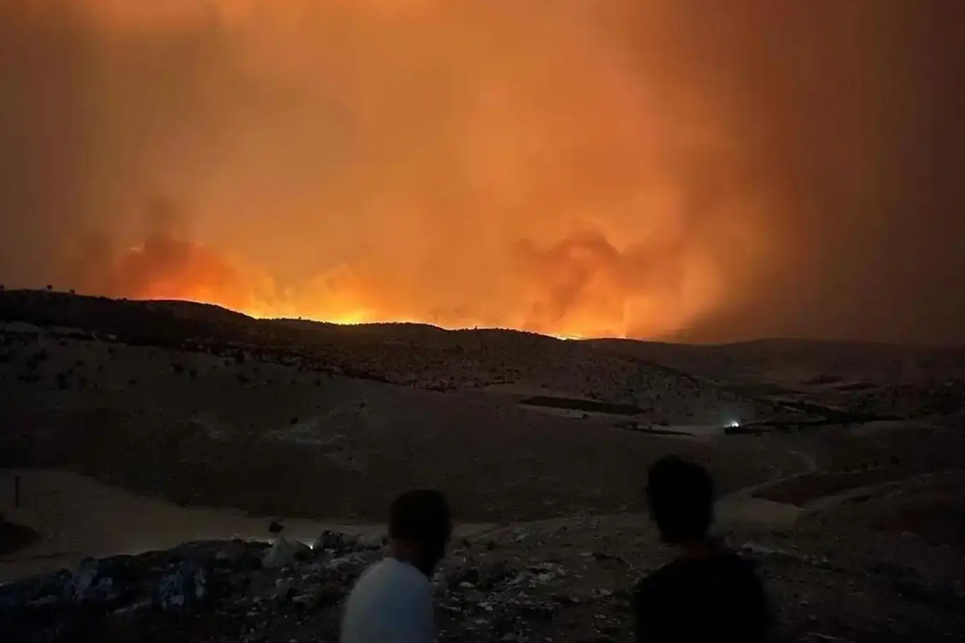 Diyarbakır ve Mardin'deki yangın felaketinde bine yakın hayvan telef oldu, binlerce dönüm yandı