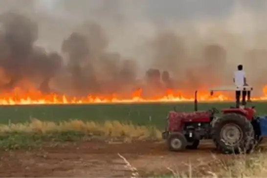 Diyarbakır'da 150 dönüm ekili alan yandı