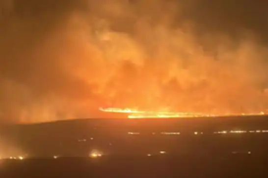 Diyarbakır ve Mardin'de çıkan yangınların etkileri ve yapılması gerekenler
