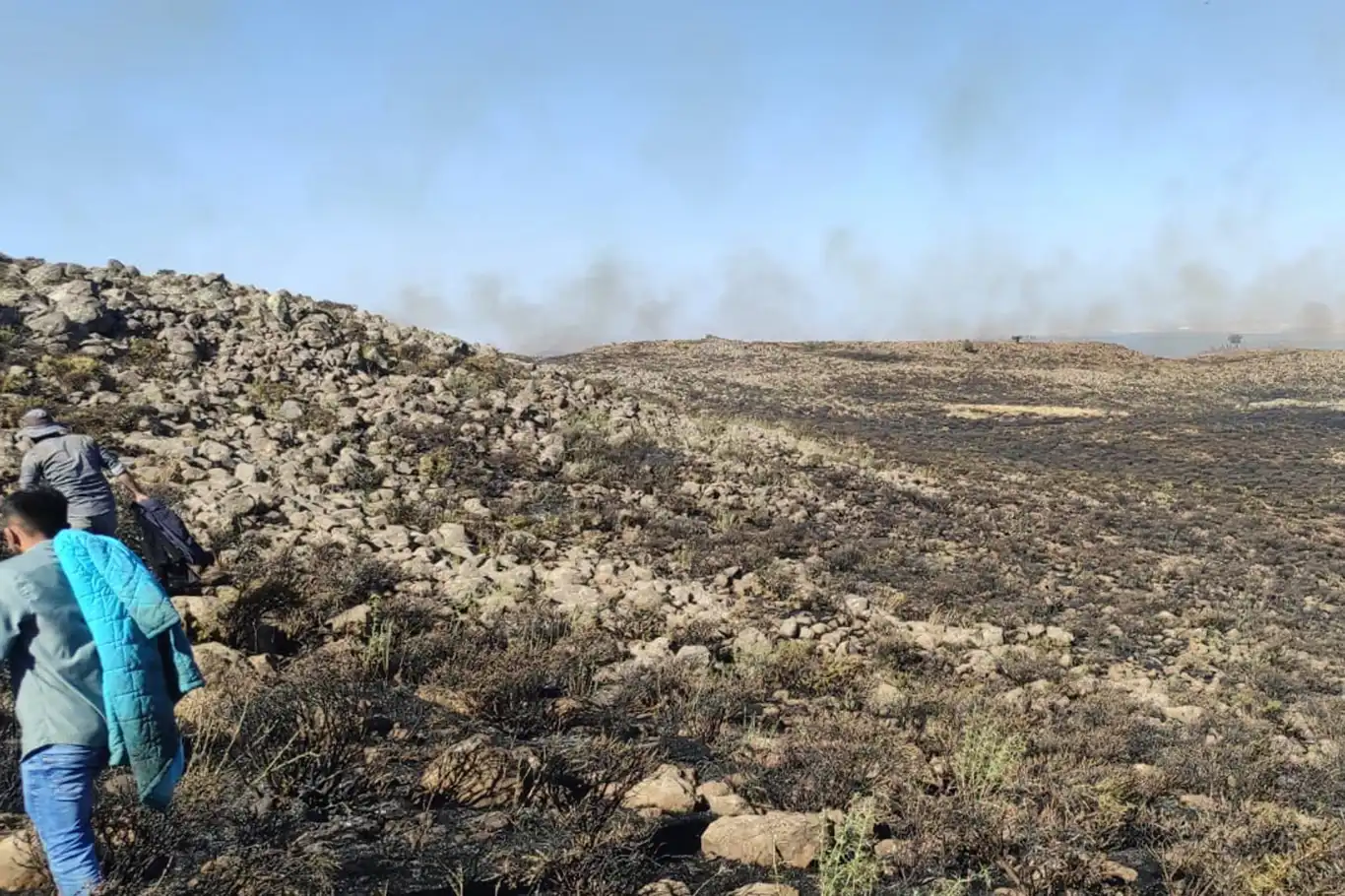 Diyarbakır'da ormanlık ve otluk alanda tekrar yangın çıktı