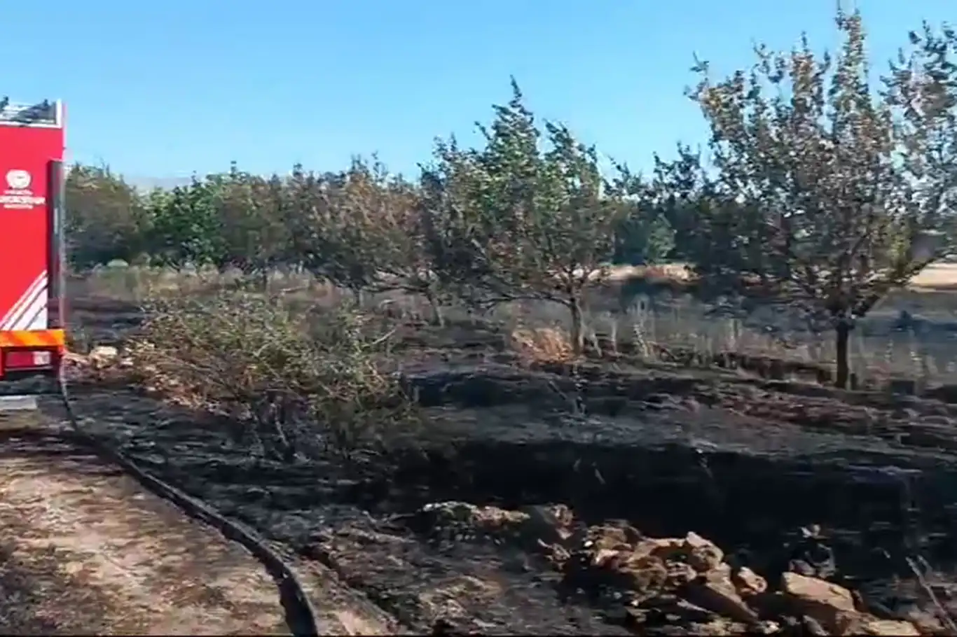 Malatya'da anız ve bahçe yangını