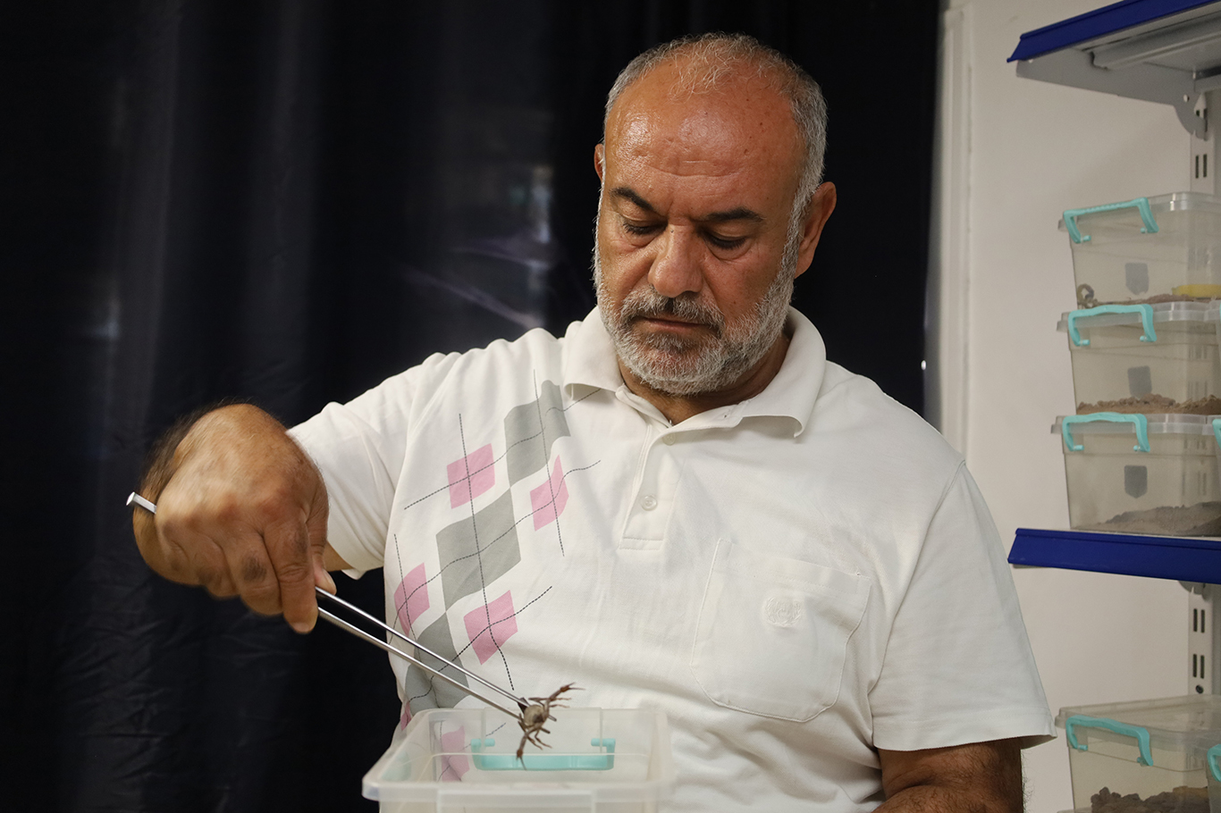 Örenler: Akrep üretimi tamamen yasal izinler alınarak yapılan bir iştir