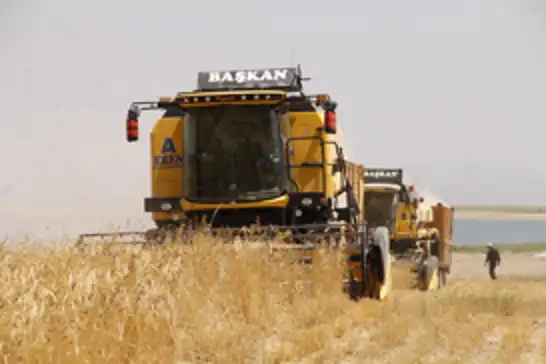 Toprak Mahsulleri Ofisi bir milyon tondan fazla buğday ve arpa aldı