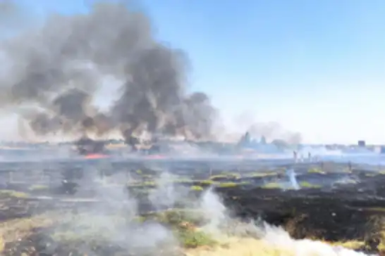 Suriye sınırında korkutan yangın 