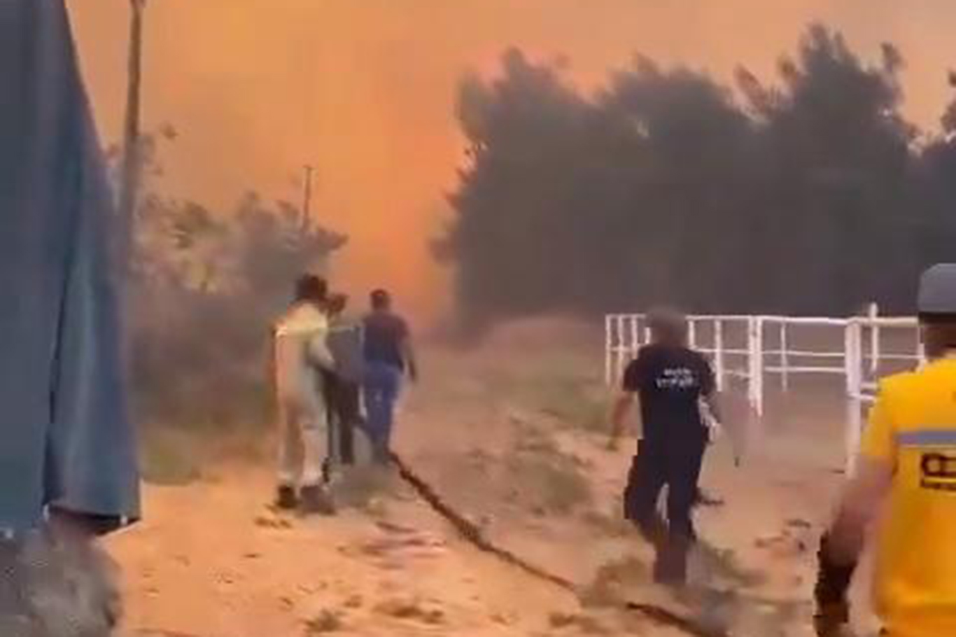Bursa'da makilik alanda yangın