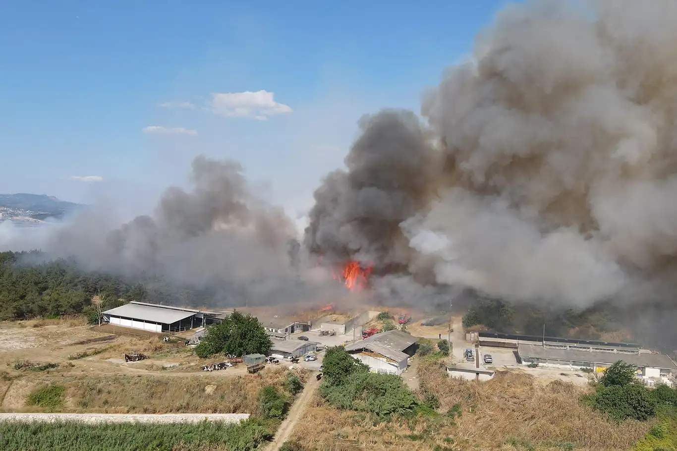 Bursa'da makilik alanda yangın
