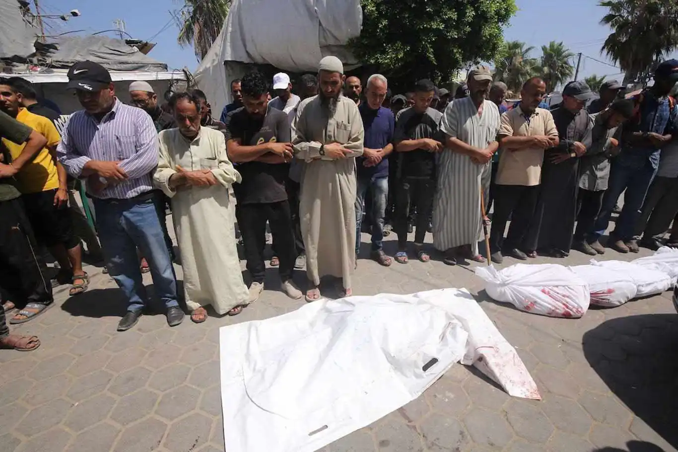 Gaza death toll escalates to 36,731 with majority women and children amid Israeli attacks Gaza death toll escalates to 36,731 with majority women and children amid Israeli attacks