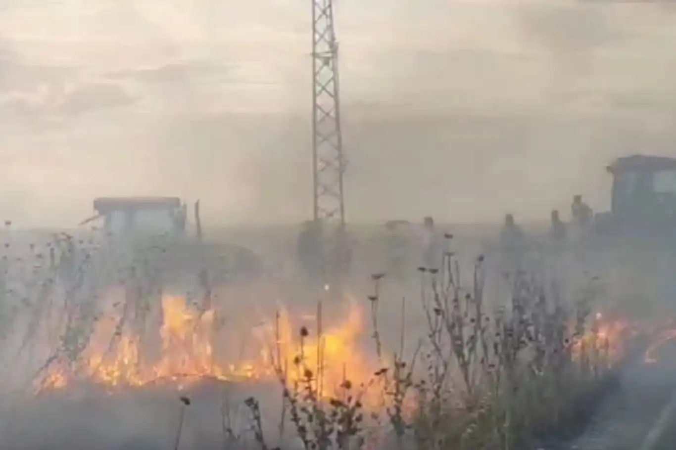 Diyarbakır'da 3 farklı noktada tarla yangını: 70 dönüm ekili alan yandı Diyarbakır'da 3 farklı noktada tarla yangını: 70 dönüm ekili alan yandı