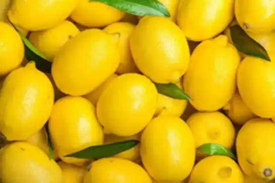Mersin'de limon depolarına denetim