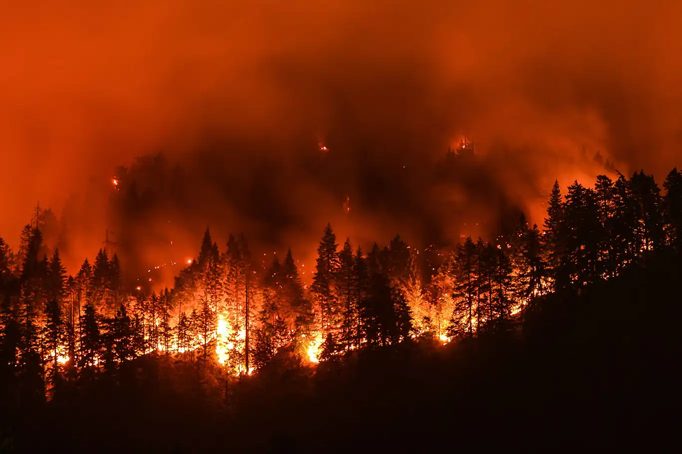 Rusya’da orman yangınları nedeniyle "acil durum" ilan edildi