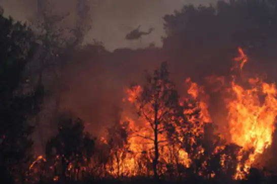 Yunanistan orman yangınlarıyla mücadele ediyor 
