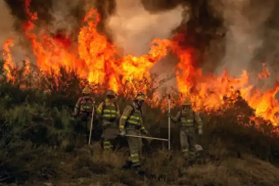 İtalya'da orman yangınları: 2 ölü