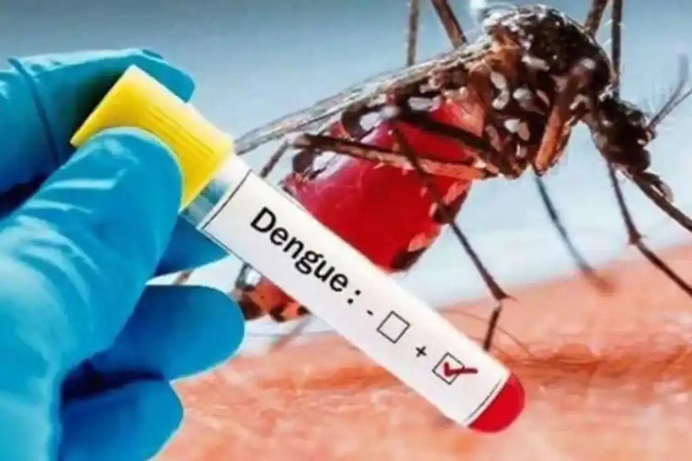 Ghana grapples with dengue fever outbreak Ghana grapples with dengue fever outbreak