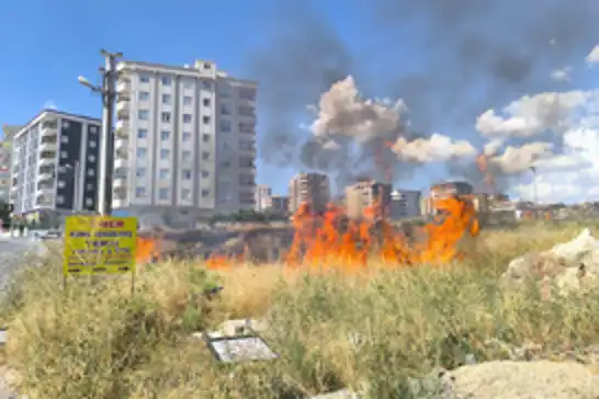 Şanlıurfa'da anız yangınına 14 milyon lira para cezası