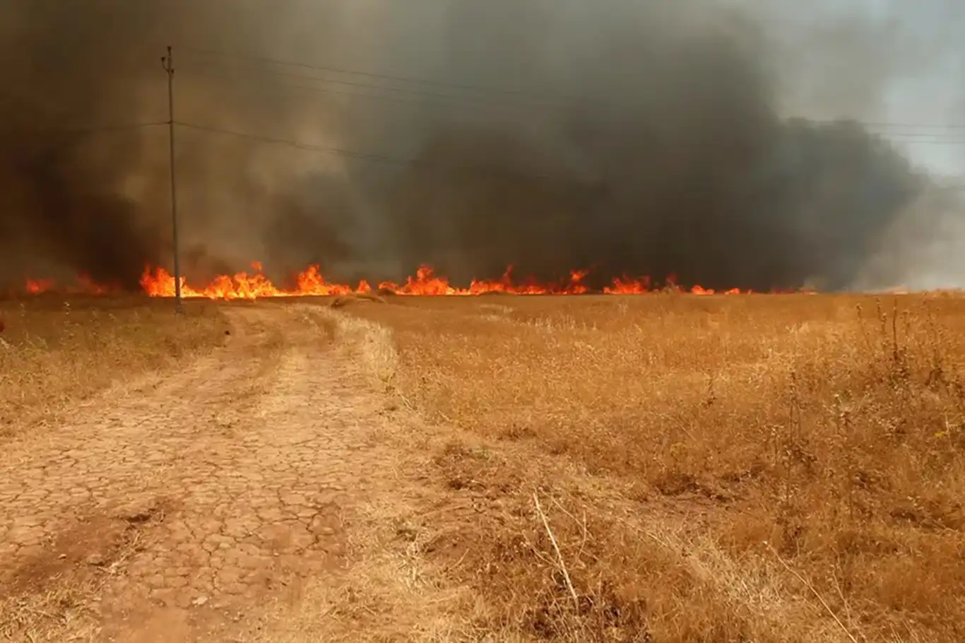 Osmaniye'de makilik alanda yangın 