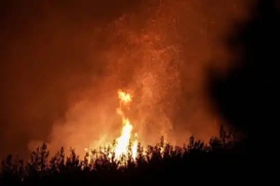 Bursa'da orman yangını 