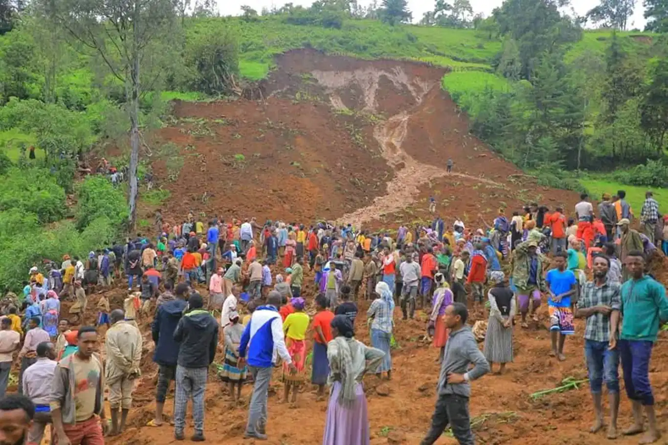 Etiyopya'da 257 kişinin hayatını kaybettiği heyelan sonrası 3 günlük yas