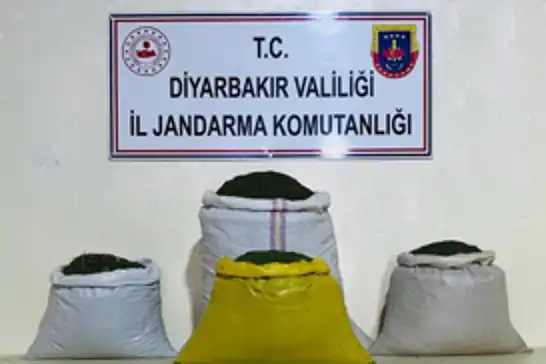 Diyarbakır'da 170 bin kök keneviri 52 kilogram esrar ele geçirildi