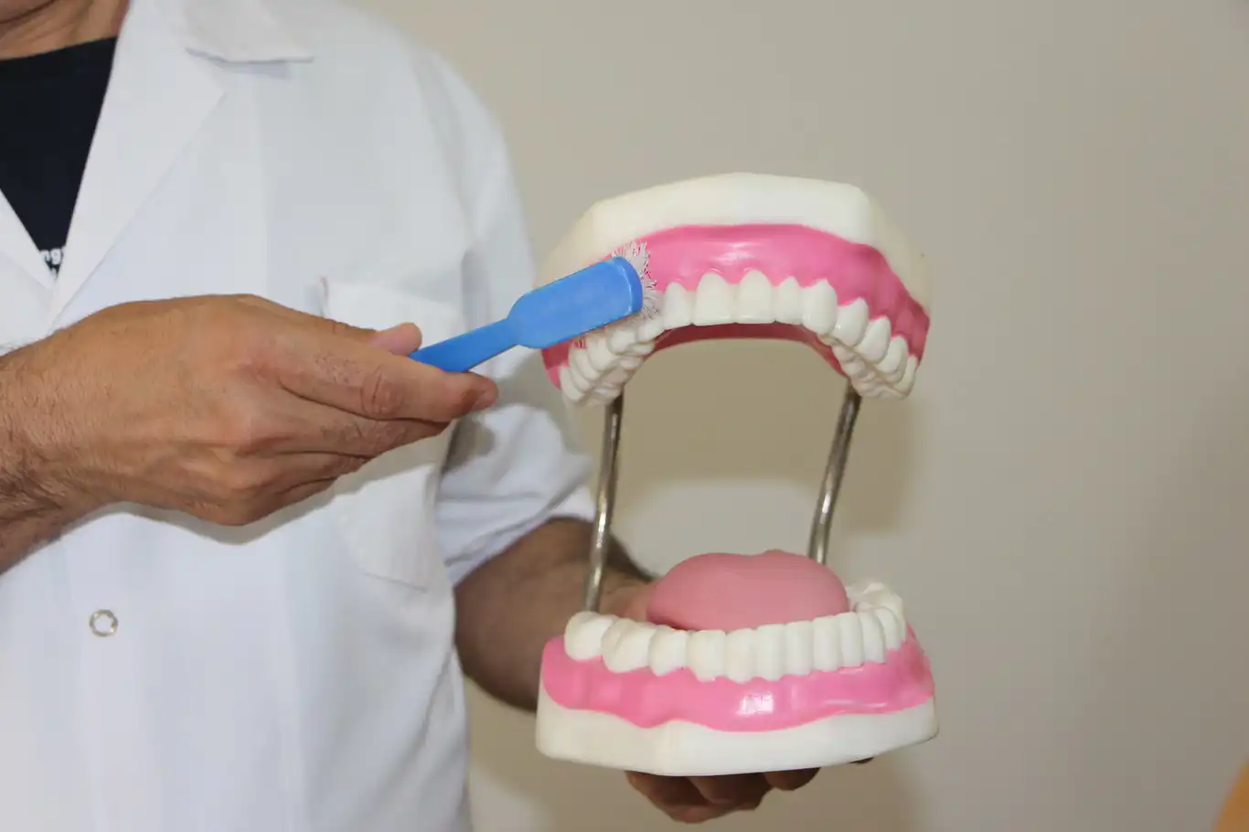 Uzman Diş Hekimi Gök: Dişleri fırçalama noktasında misvak çok etkilidir