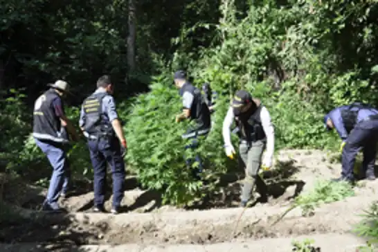 UNESCO Dünya Kültür Mirası Listesi’ndeki Hevsel Bahçeleri’nde uyuşturucu operasyonu