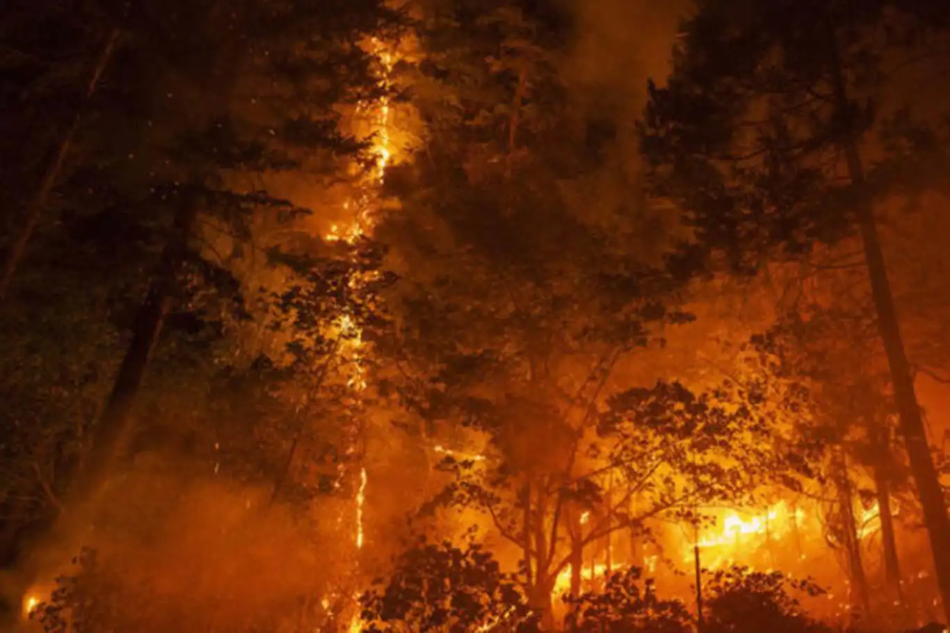 California wildfires ravage over 370,000 acres, prompt widespread evacuations