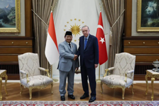 Turkish President Erdoğan meets with President-elect Subianto of Indonesia