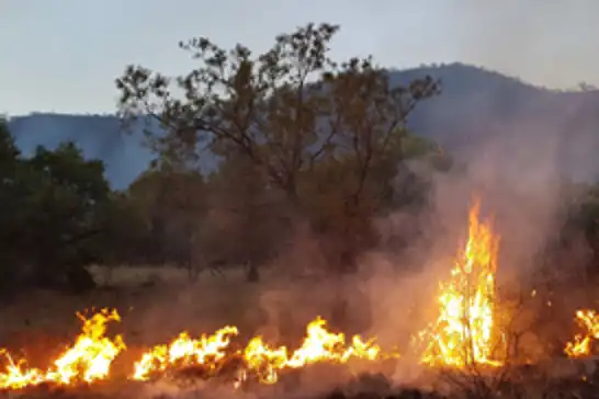 Amasya'da orman yangını 