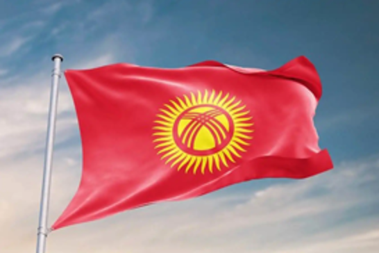 Kyrgyz security forces foil alleged coup attempt