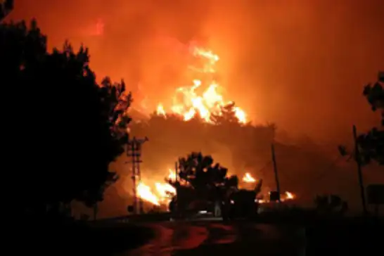 İzmir'de orman yangını 