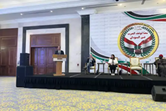 Kahire'de Sudan krizi konulu konferans düzenledi