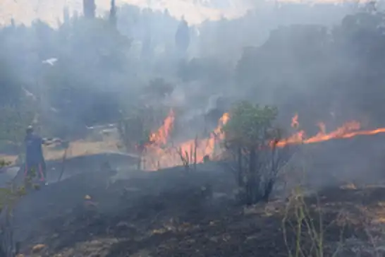 Malatya'da bahçe yangını: Çok sayıda ağaç yandı