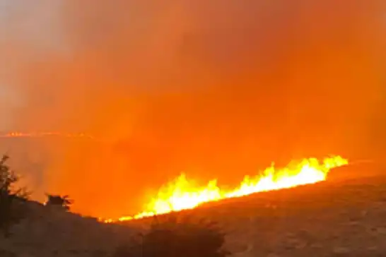 Malatya’da arazi yangını