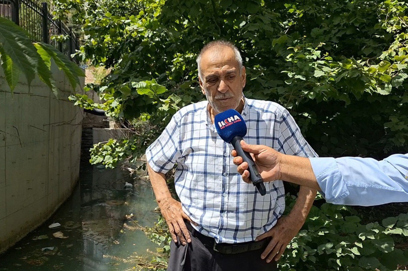 Erdem Palut