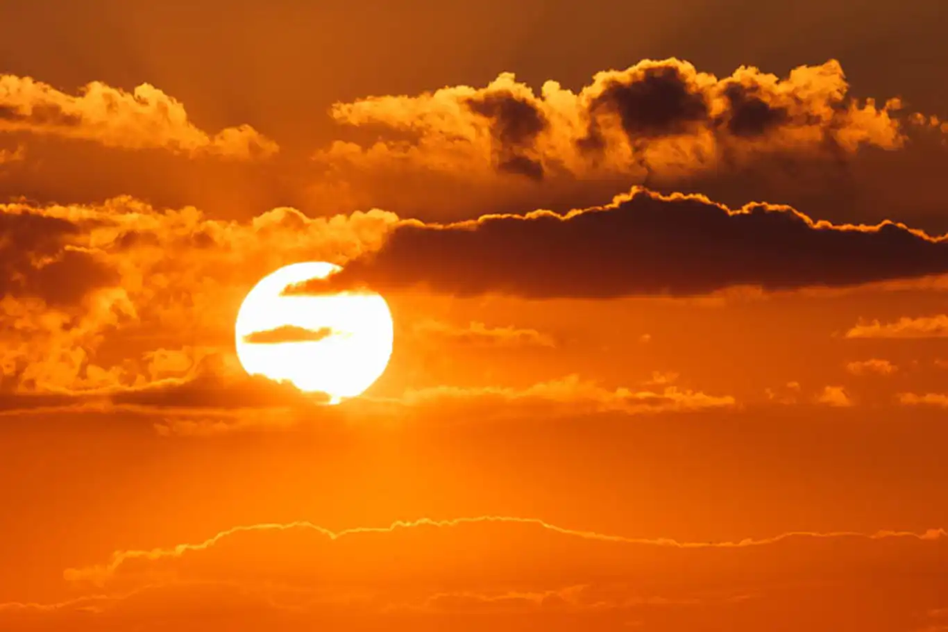 WHO: Extreme heat kills over 175,000 people annually in Europe WHO: Extreme heat kills over 175,000 people annually in Europe