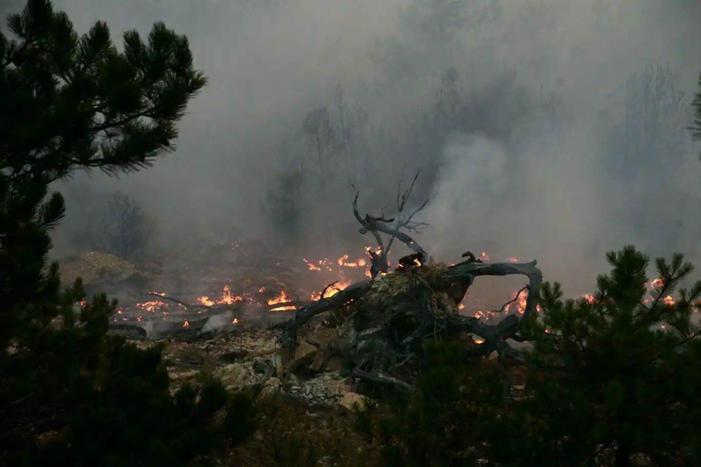 Raging forest fire triggers evacuations in western Türkiye