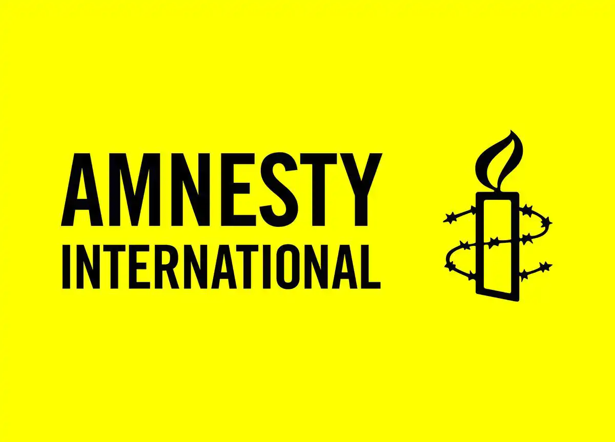 Amnesty International urges EU to impose arms embargo on Israel