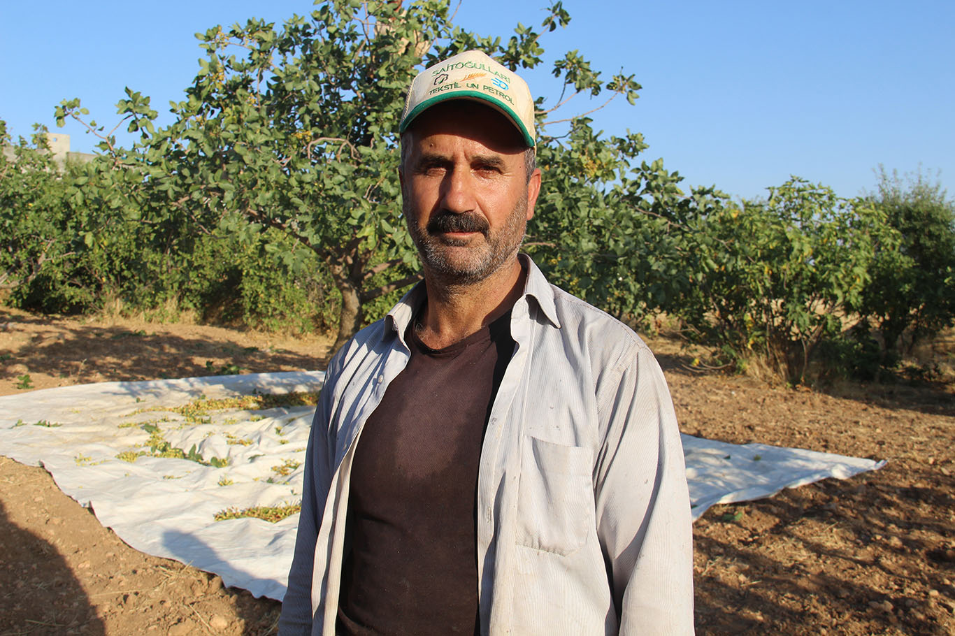 Pertev Demirtaş