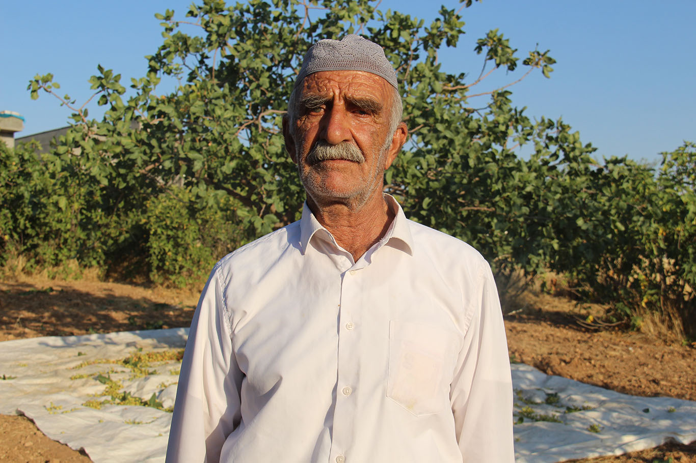 Mehmet Demirtaş