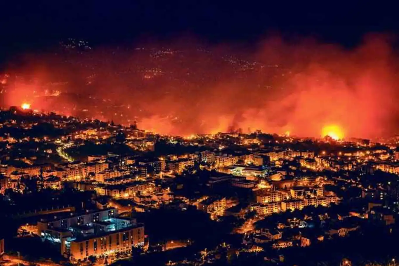 Portekiz'de orman yangınları: 7 ölü