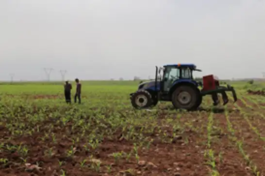 Tarımsal destek ödemeleri çiftçilerin hesabına aktarılacak 