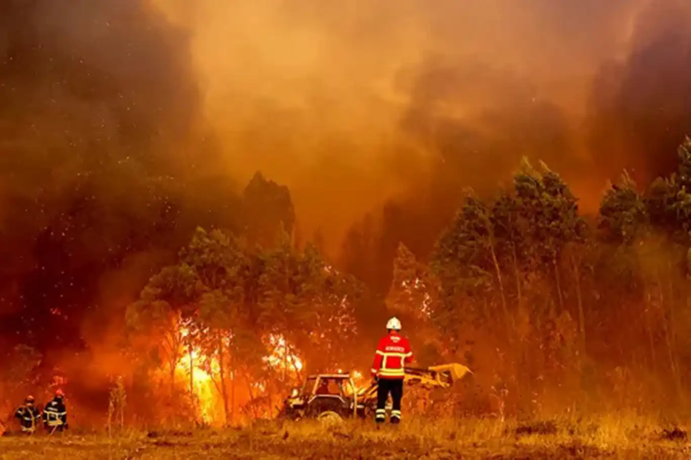 Portugal declares state of calamity as wildfires kill seven and injure dozens