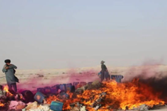 Afghan authorities destroy 10 tons of illicit drugs in Nimruz