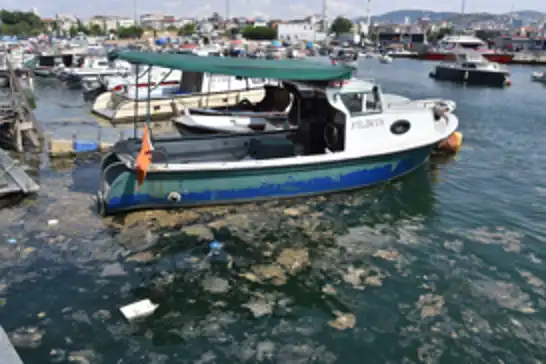 Marmara Denizi'nde müsilaj denetimleri: 10,3 milyon TL ceza