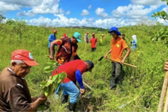 Three farmers killed in attack on landless workers' settlement in Brazil