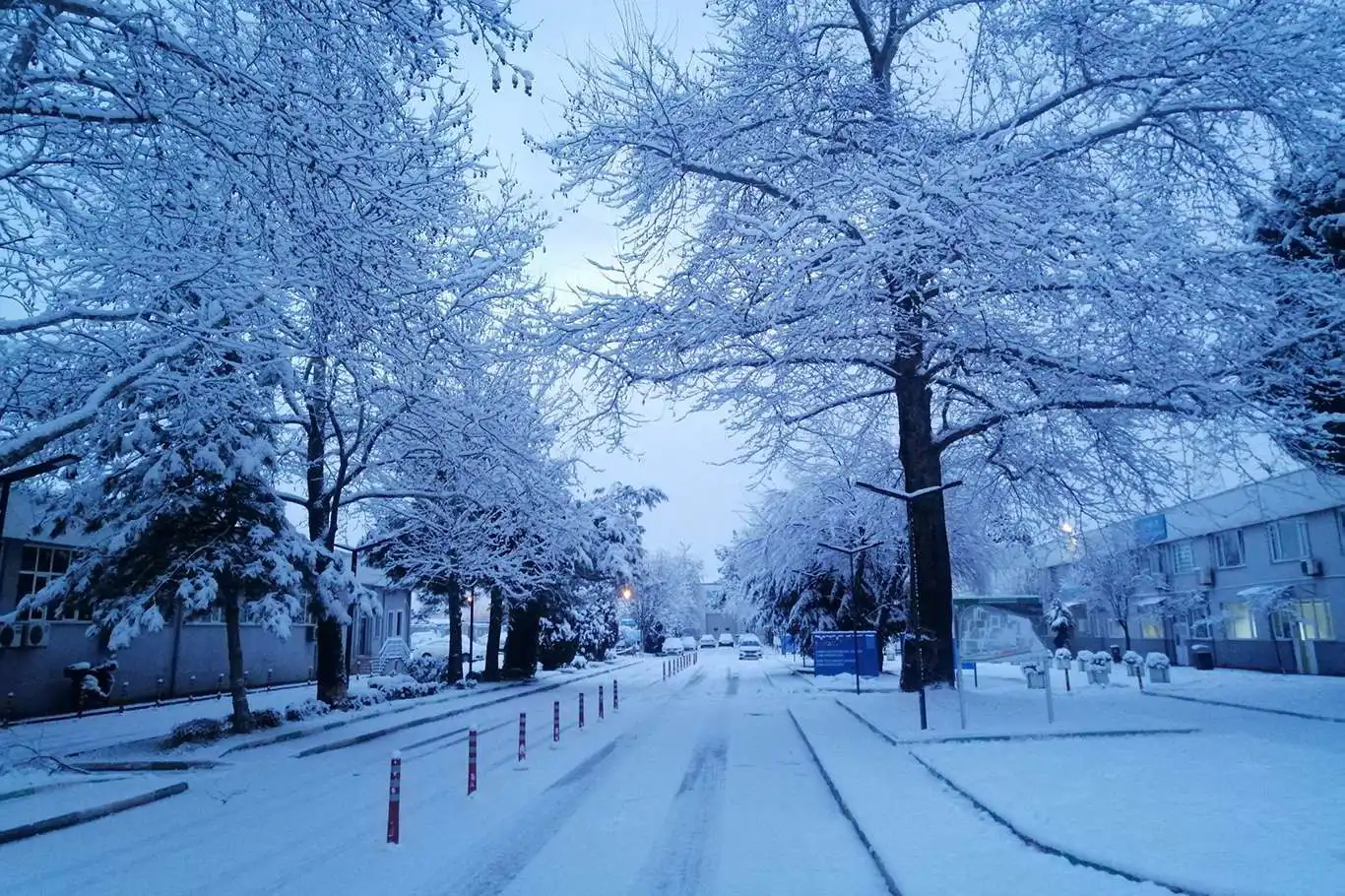 3 kent için "yoğun" kar yağışı uyarısı