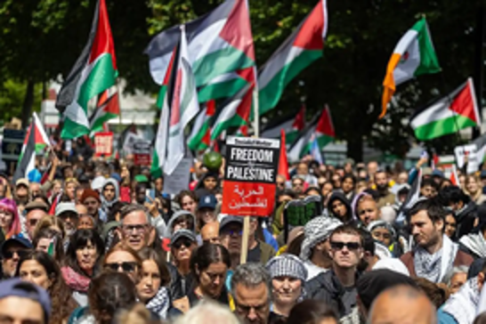 Over 70 Pro-Palestine protesters arrested in London