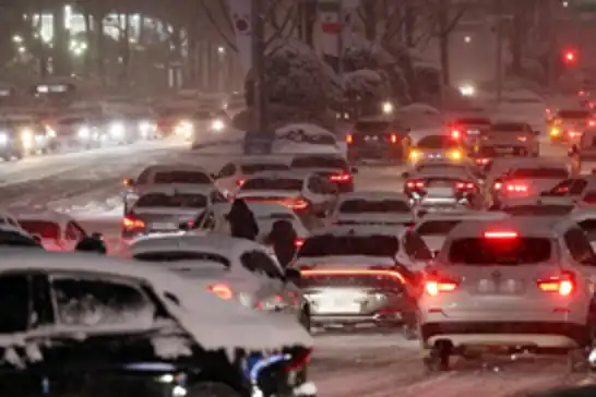 Erzurum'da kar yağışı etkili oldu