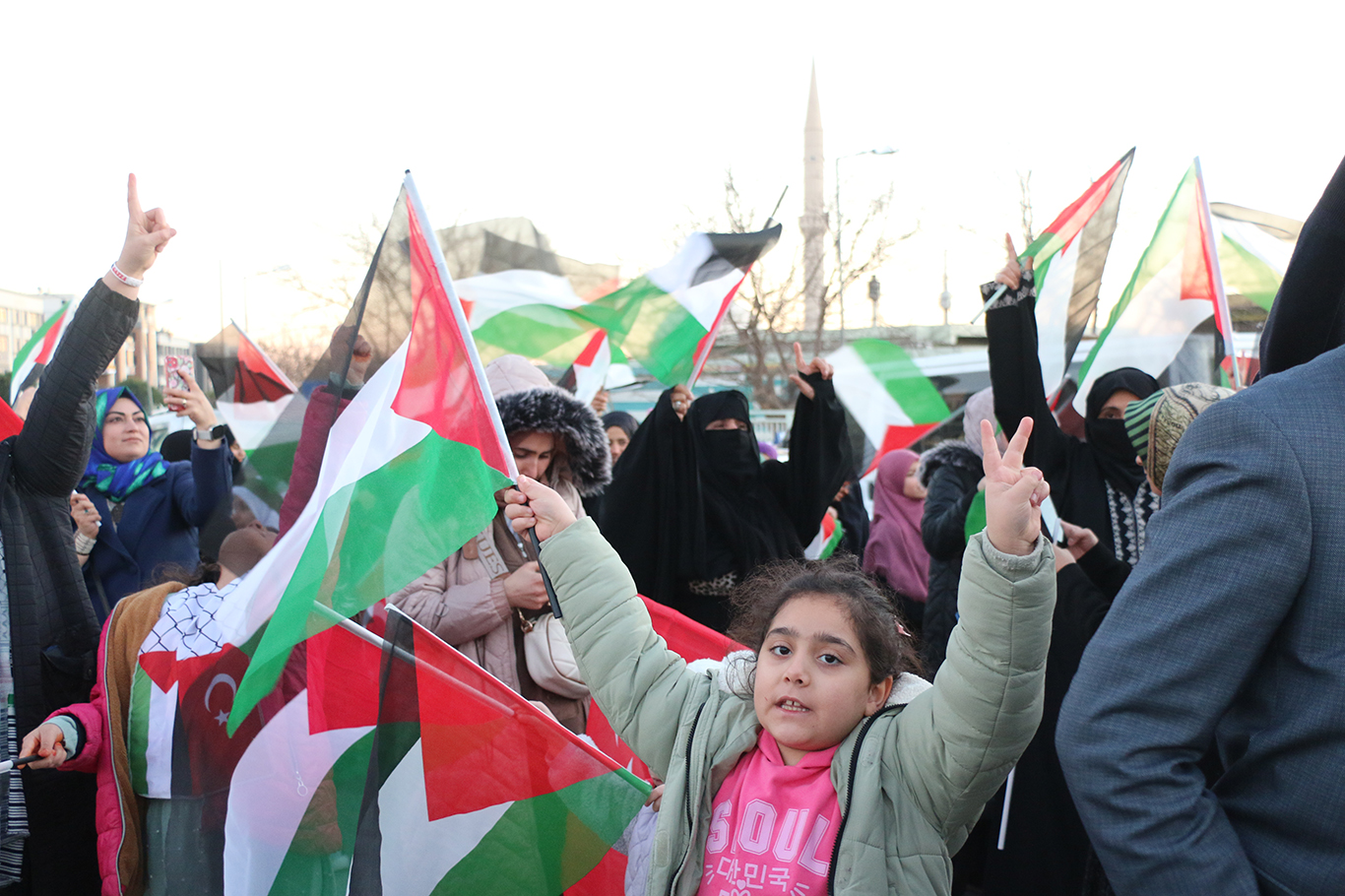 Şanlıurfa’da "Gazze Özgürlük Konvoyu" etkinliği düzenlendi